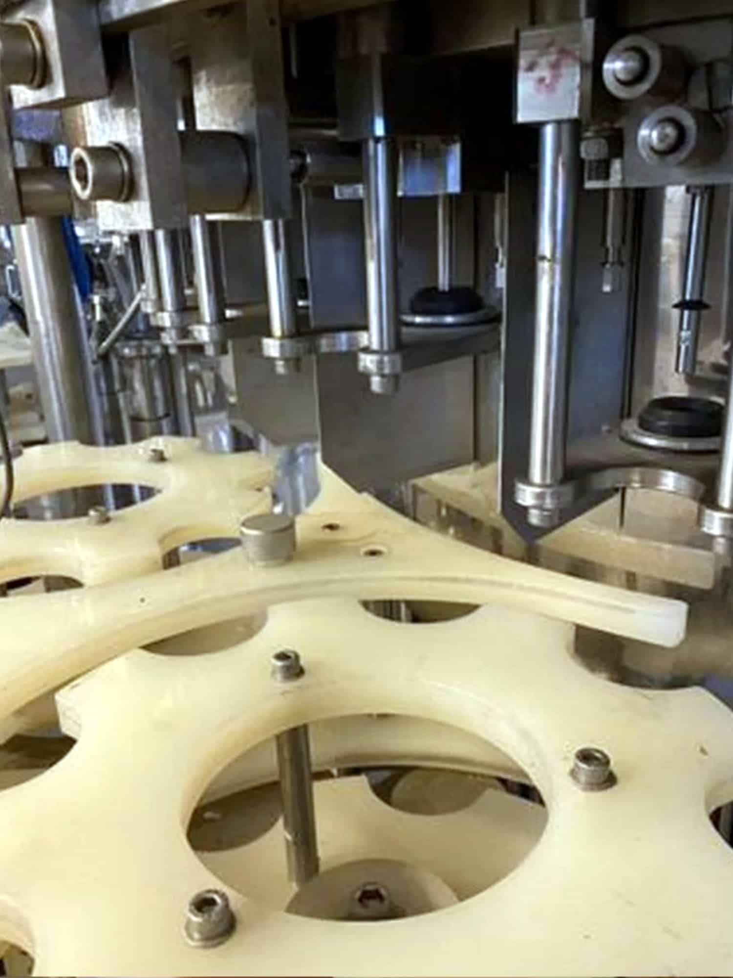 Working room of Melegari TriBlock (rinser, filler, capper)
